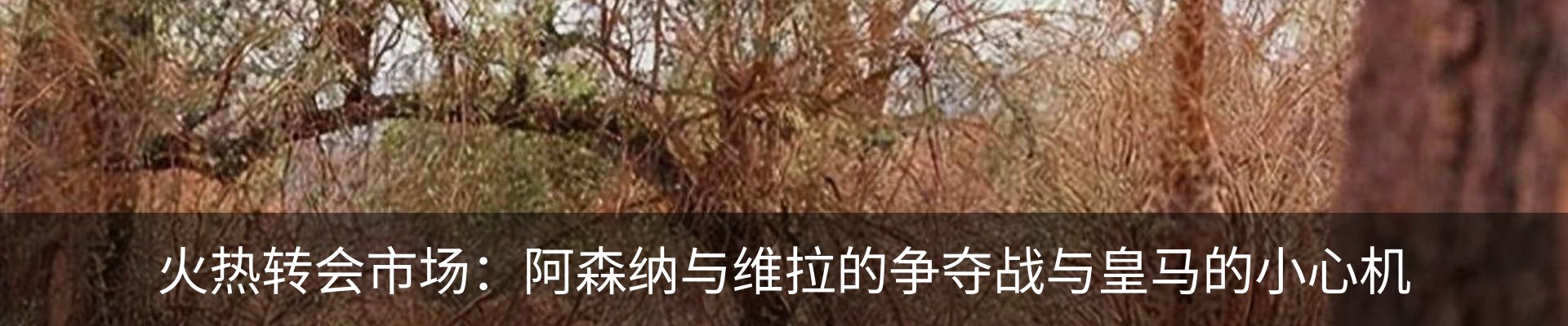 新闻中心
